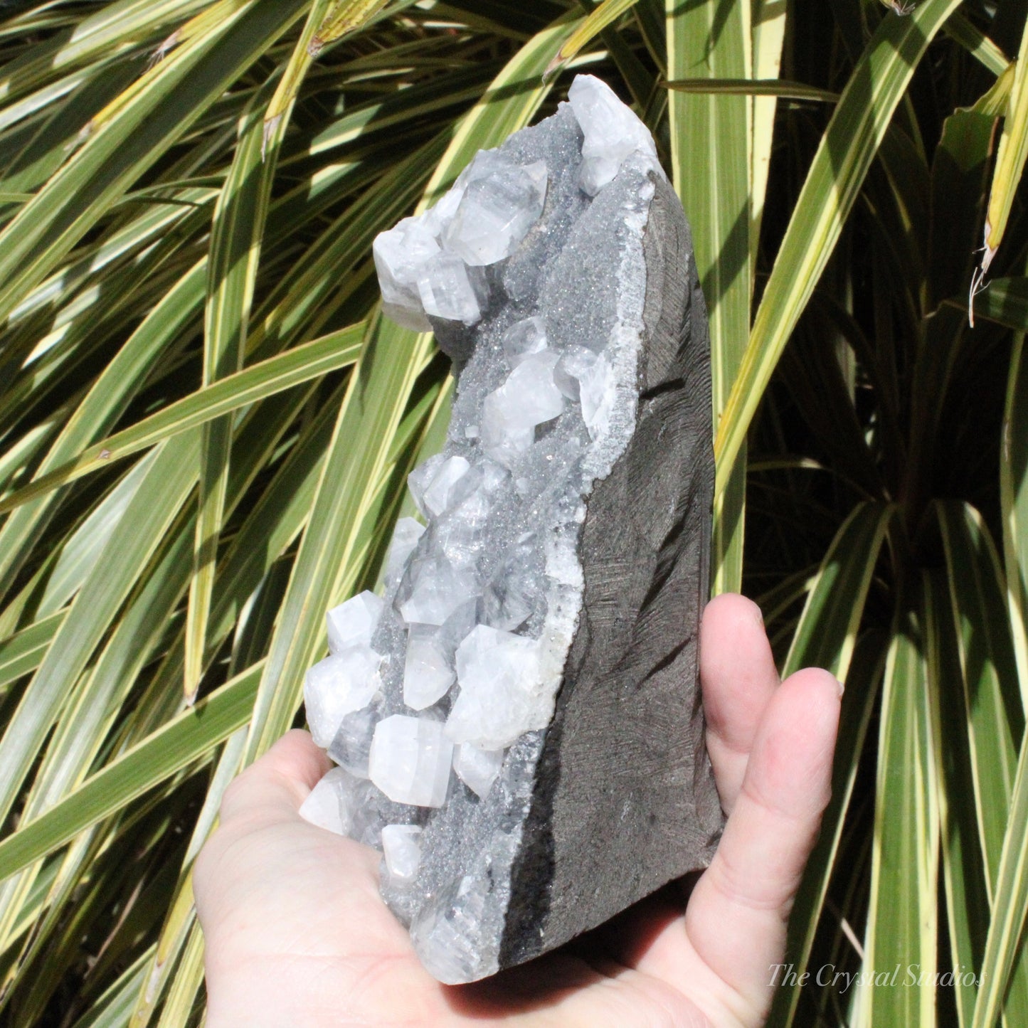 Blue Chalcedony with Apophyllite Natural Crystal Cluster