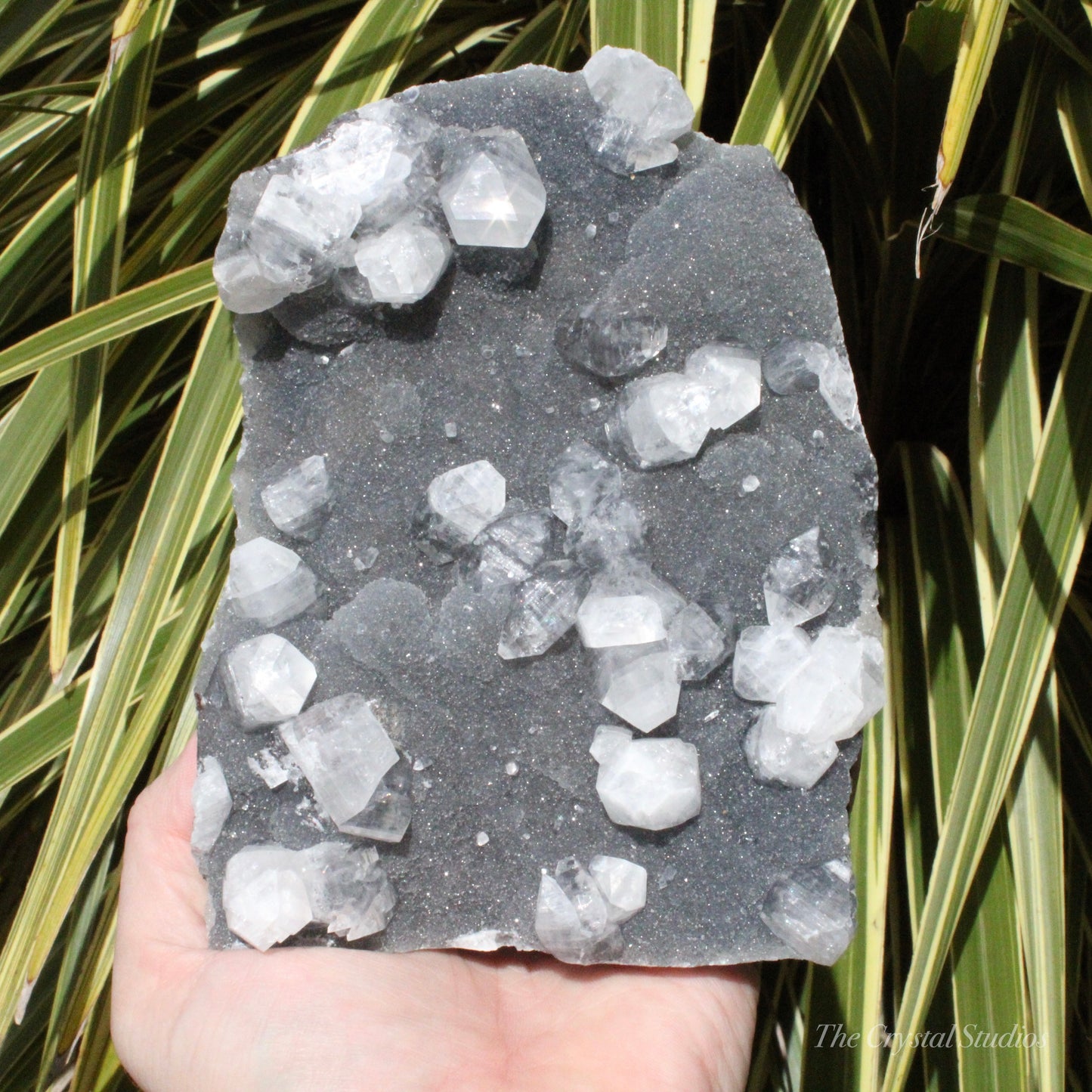 Blue Chalcedony with Apophyllite Natural Crystal Cluster