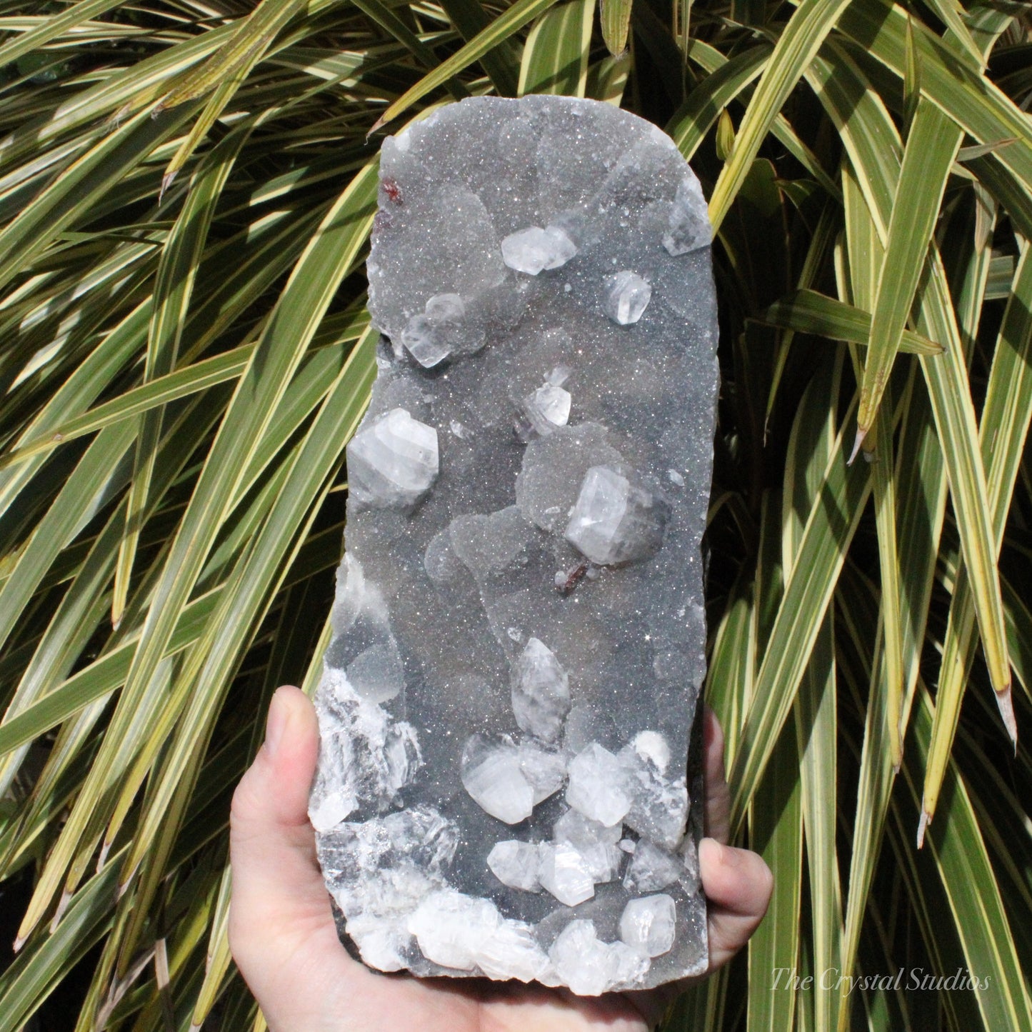 Blue Chalcedony with Apophyllite Natural Crystal Cluster