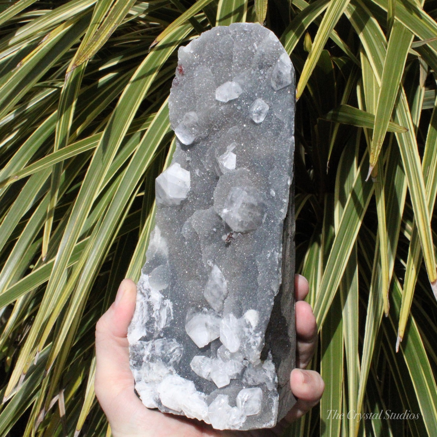 Blue Chalcedony with Apophyllite Natural Crystal Cluster