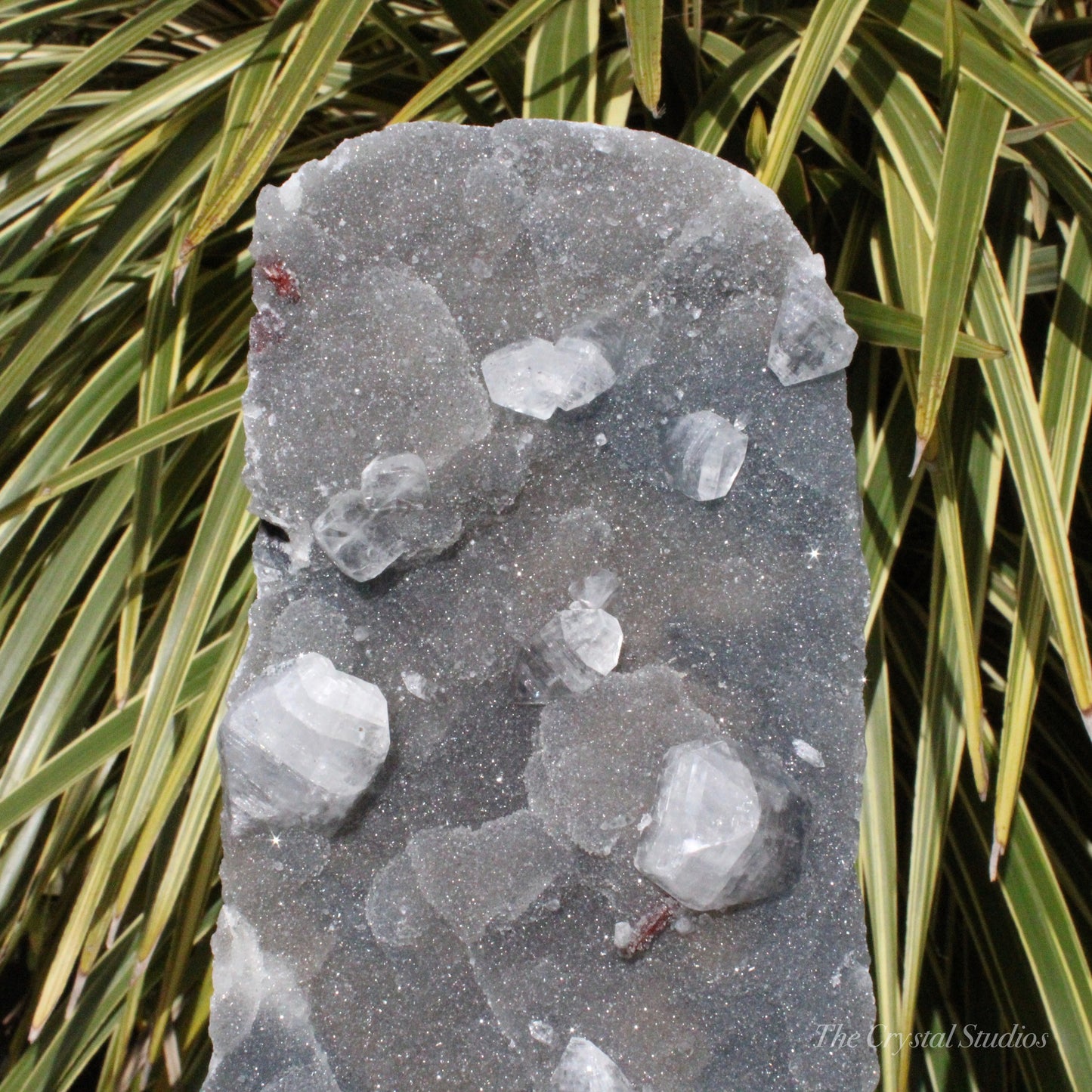 Blue Chalcedony with Apophyllite Natural Crystal Cluster