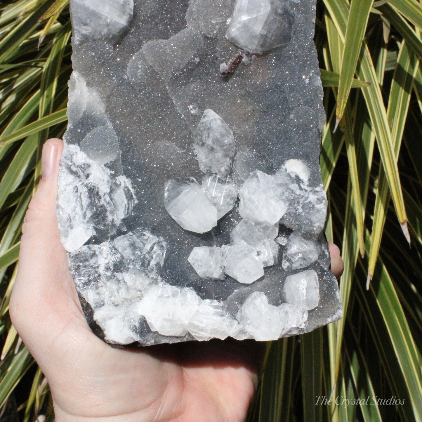 Blue Chalcedony with Apophyllite Natural Crystal Cluster