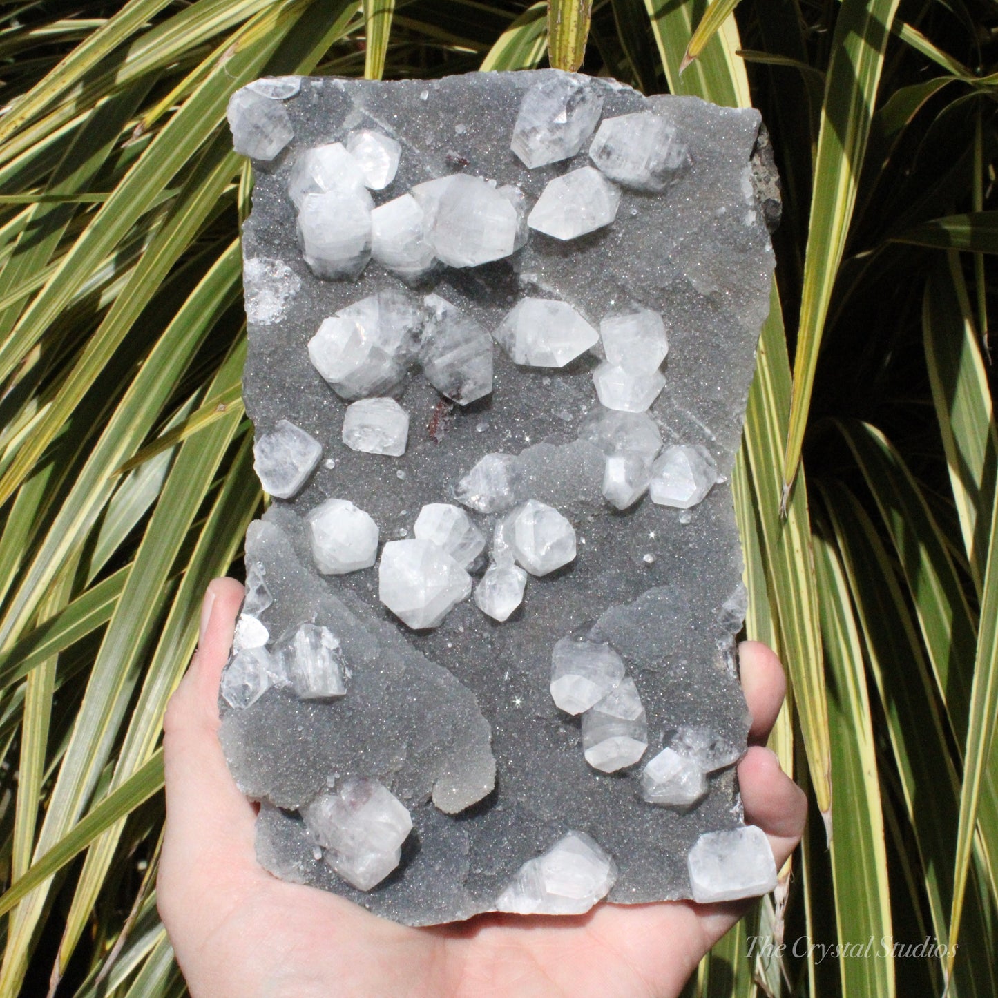 Blue Chalcedony with Apophyllite Natural Crystal Cluster