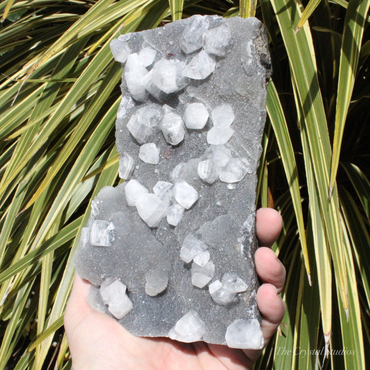 Blue Chalcedony with Apophyllite Natural Crystal Cluster