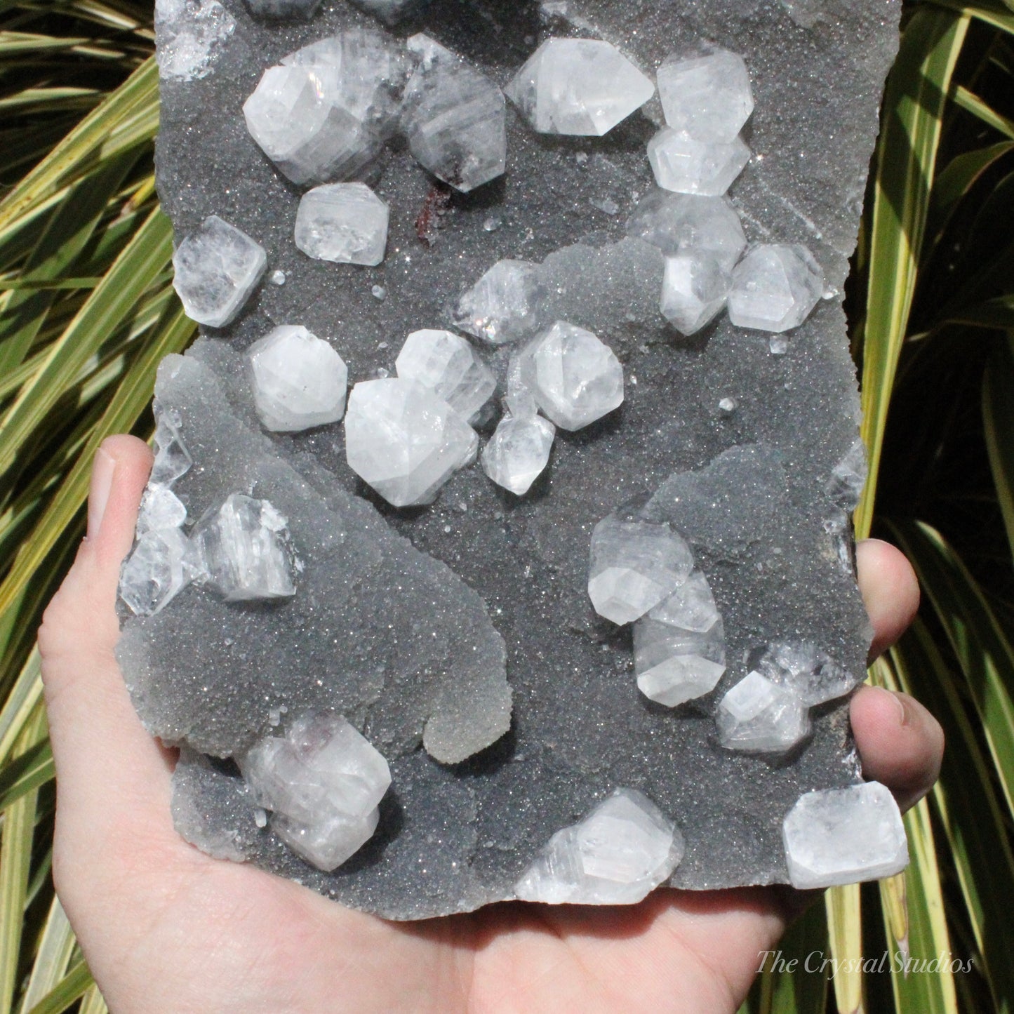 Blue Chalcedony with Apophyllite Natural Crystal Cluster