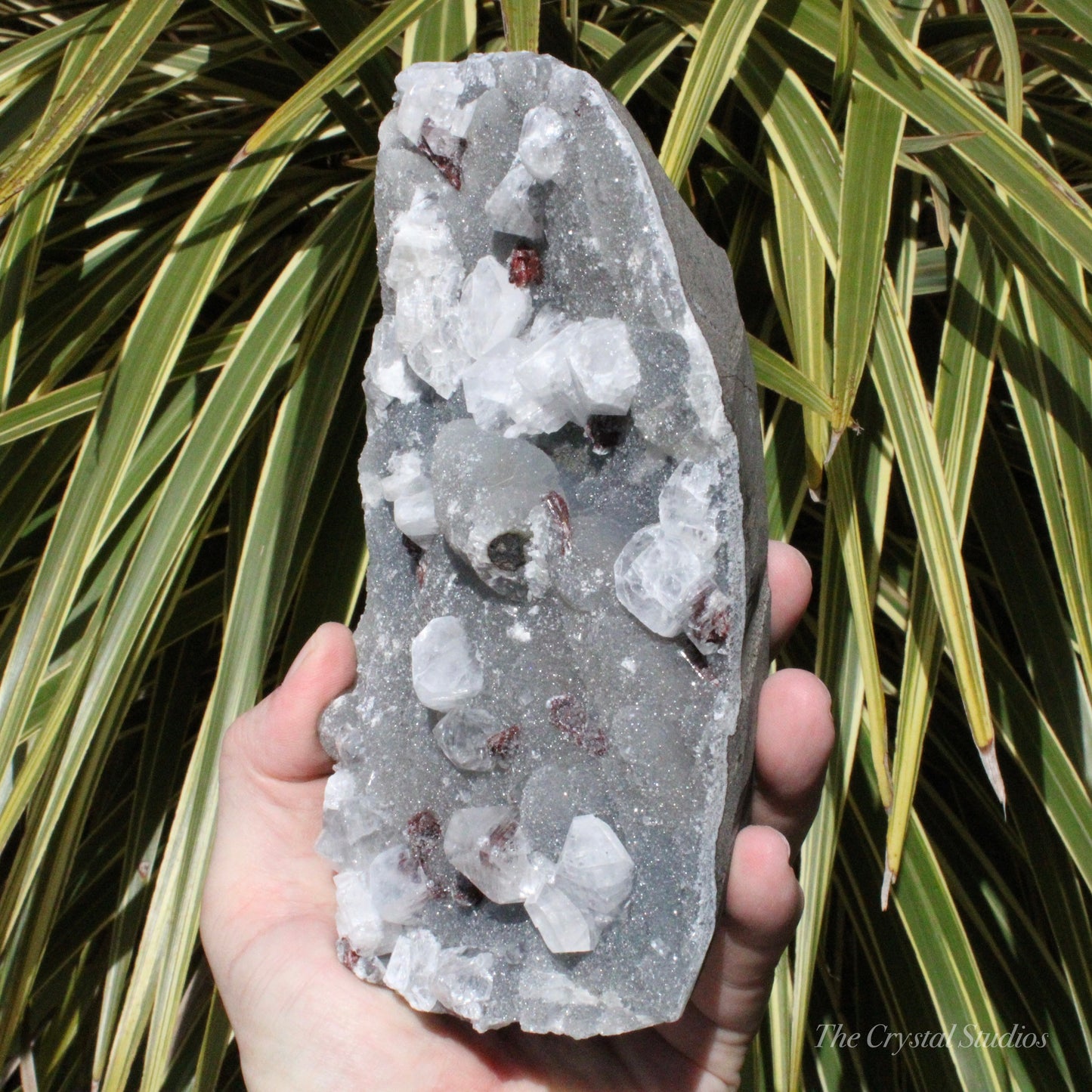 Blue Chalcedony with Apophyllite Natural Crystal Cluster