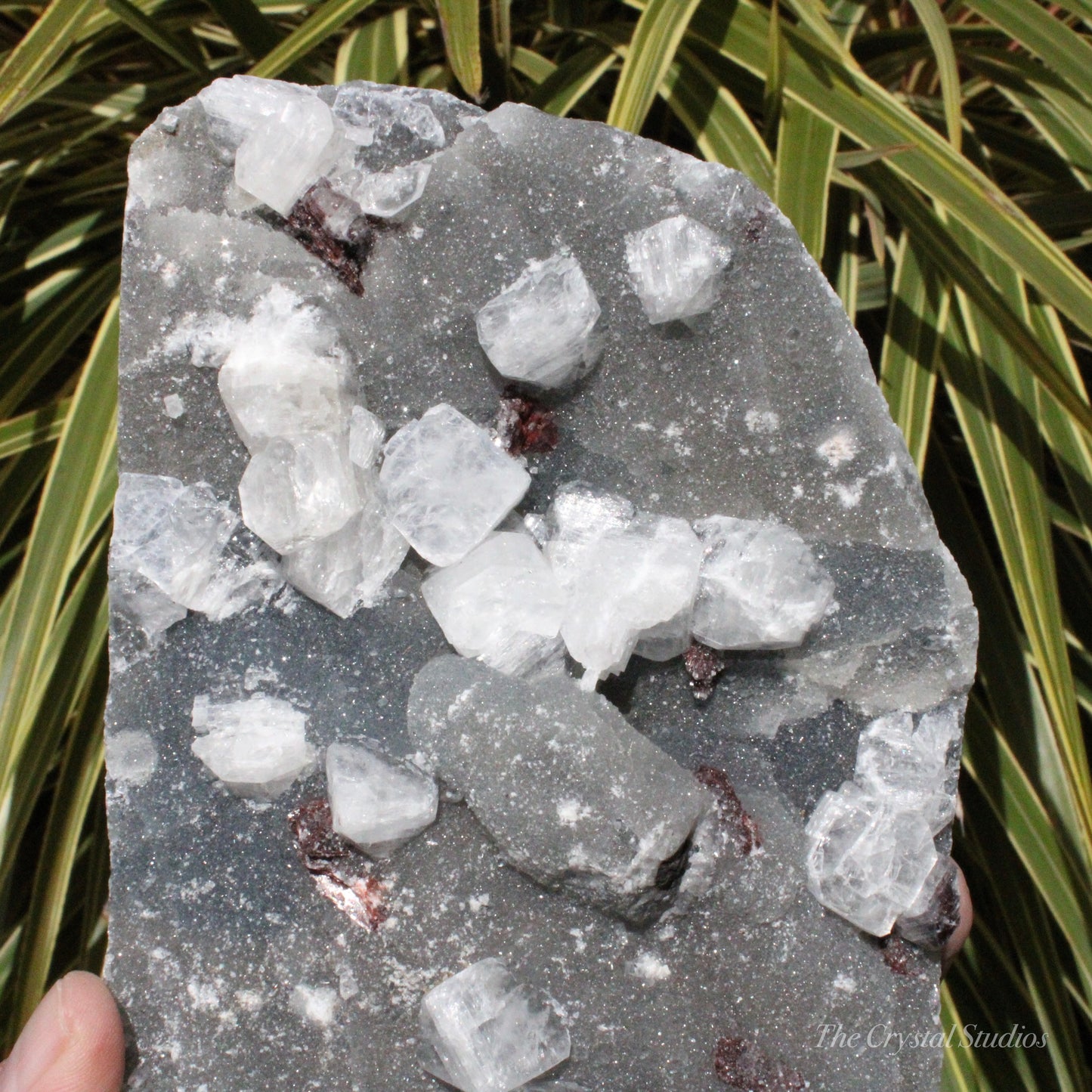 Blue Chalcedony with Apophyllite Natural Crystal Cluster