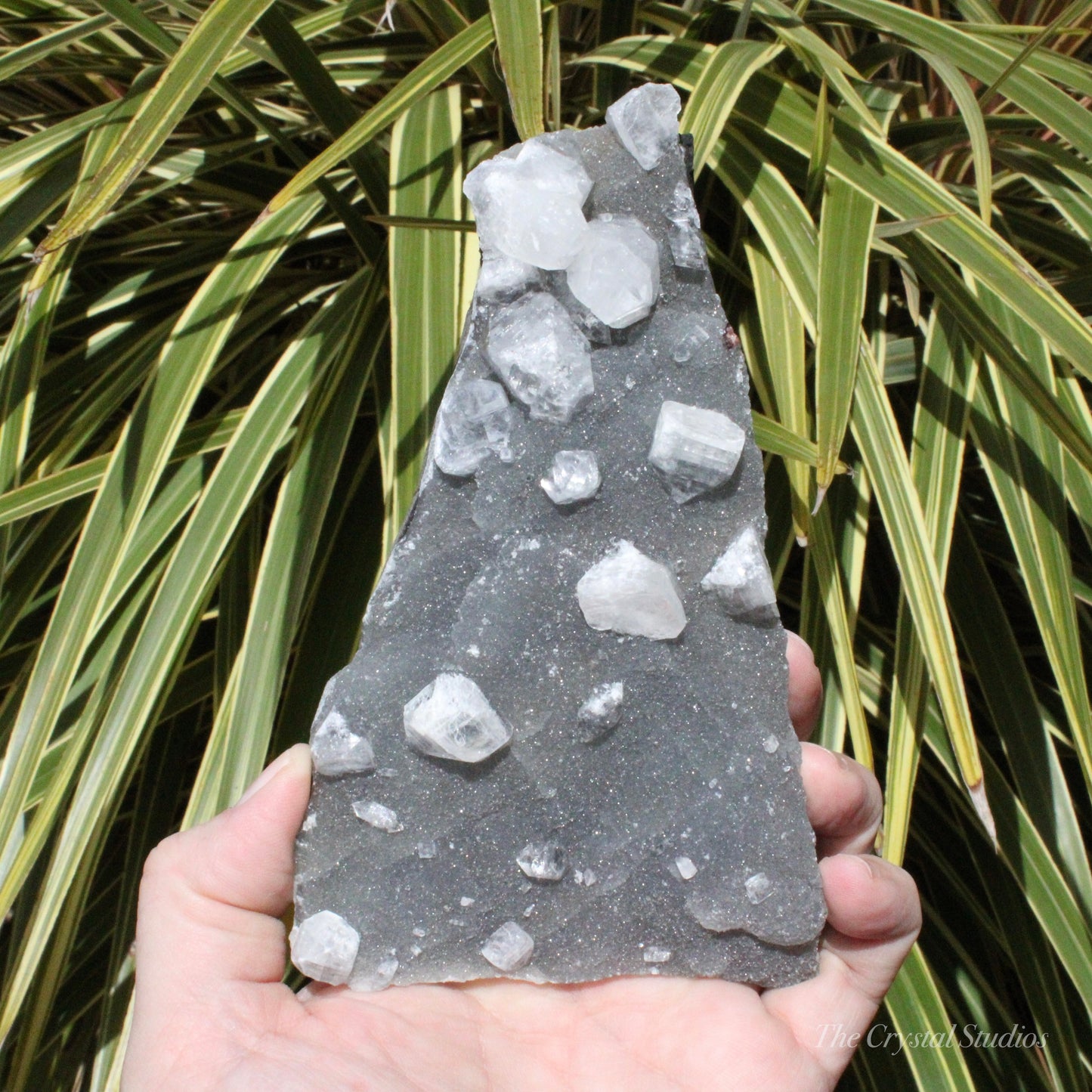 Blue Chalcedony with Apophyllite Natural Crystal Cluster