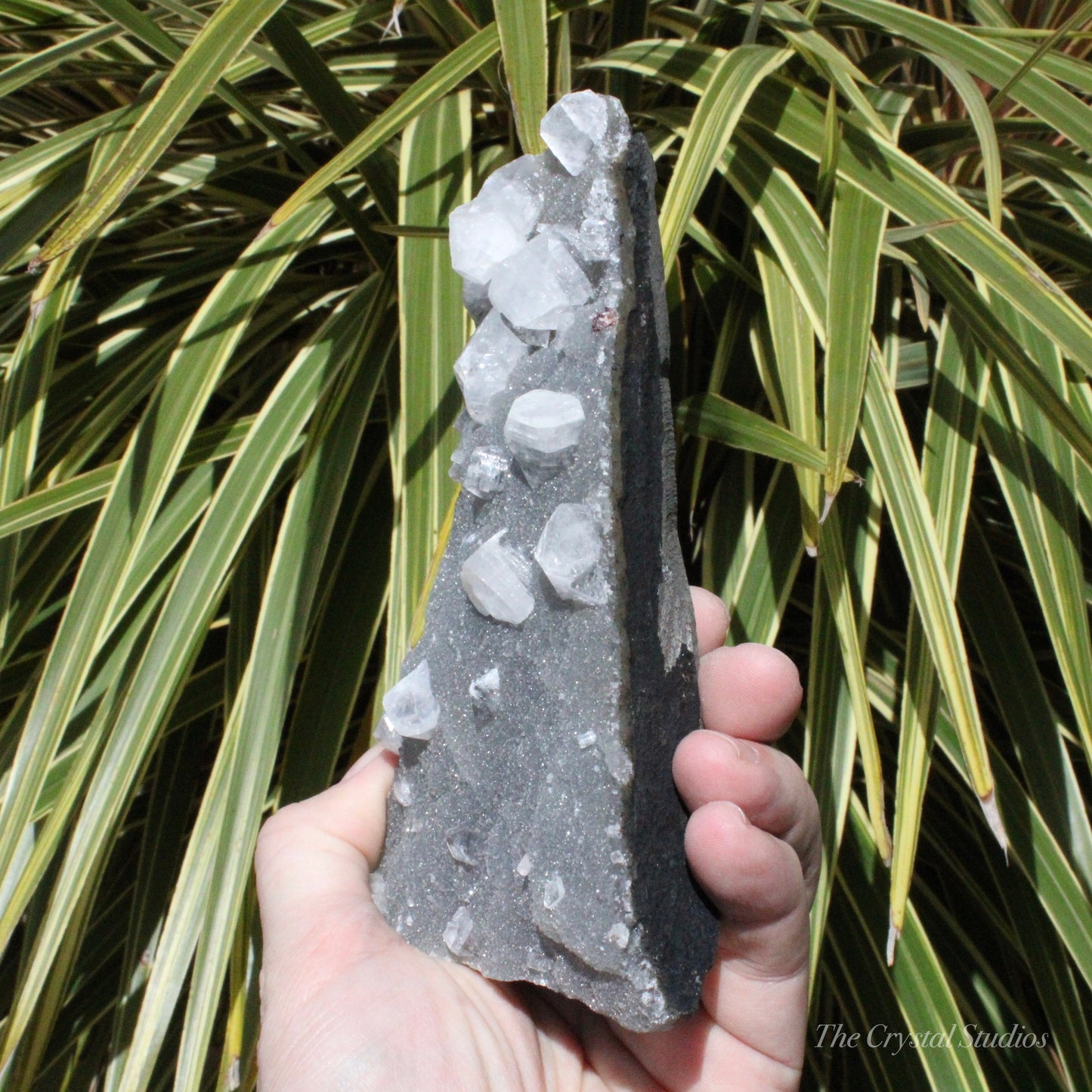 Blue Chalcedony with Apophyllite Natural Crystal Cluster