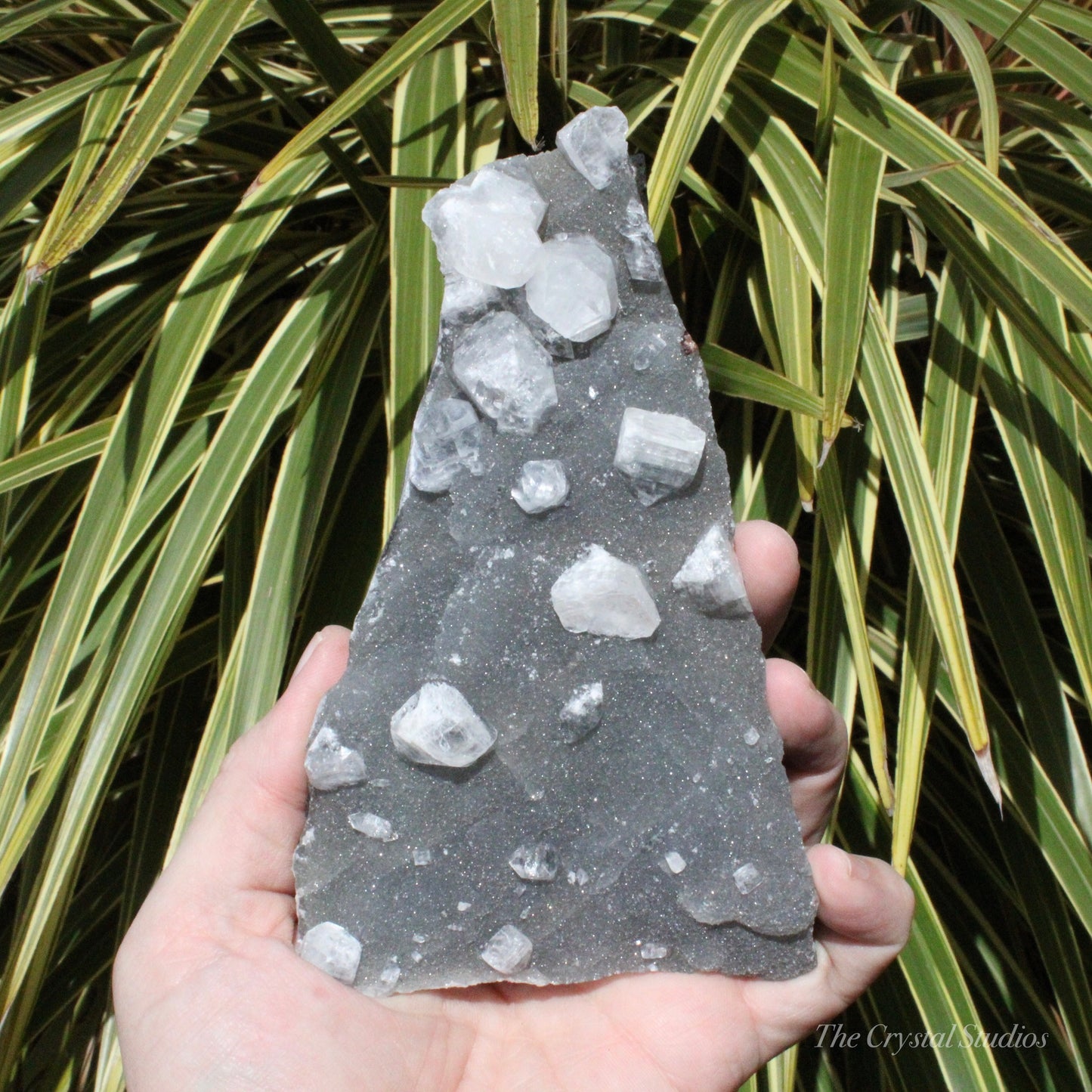 Blue Chalcedony with Apophyllite Natural Crystal Cluster