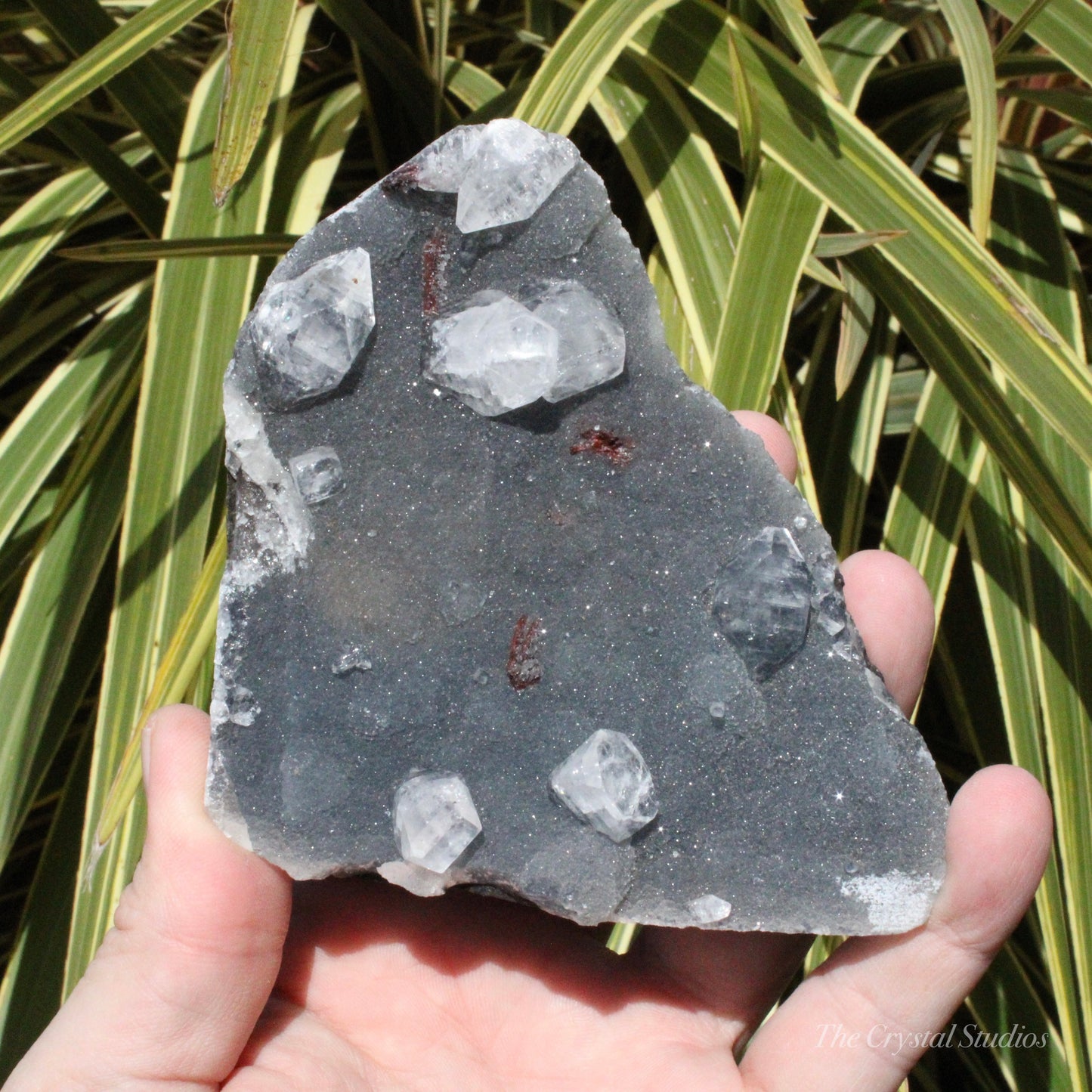 Blue Chalcedony with Apophyllite Natural Crystal Cluster