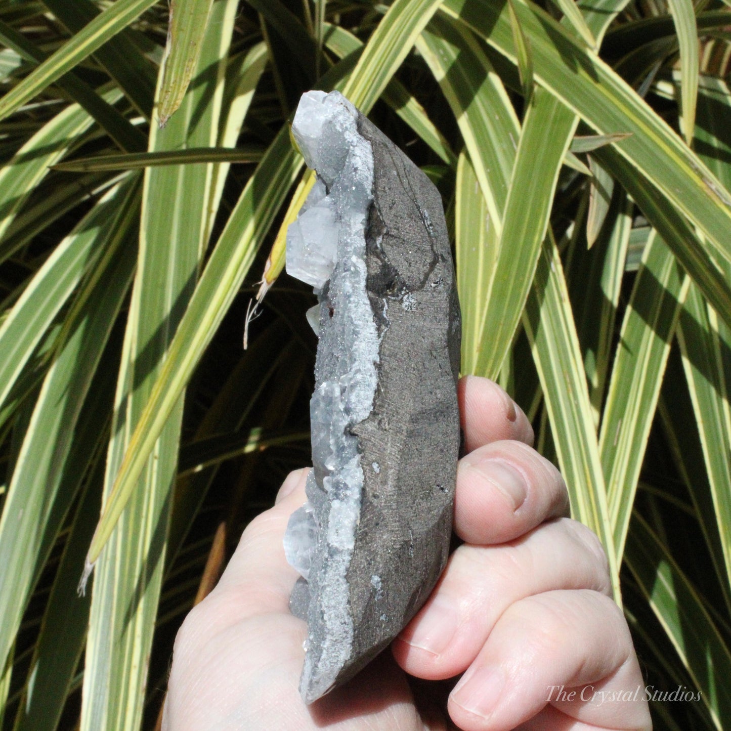 Blue Chalcedony with Apophyllite Natural Crystal Cluster