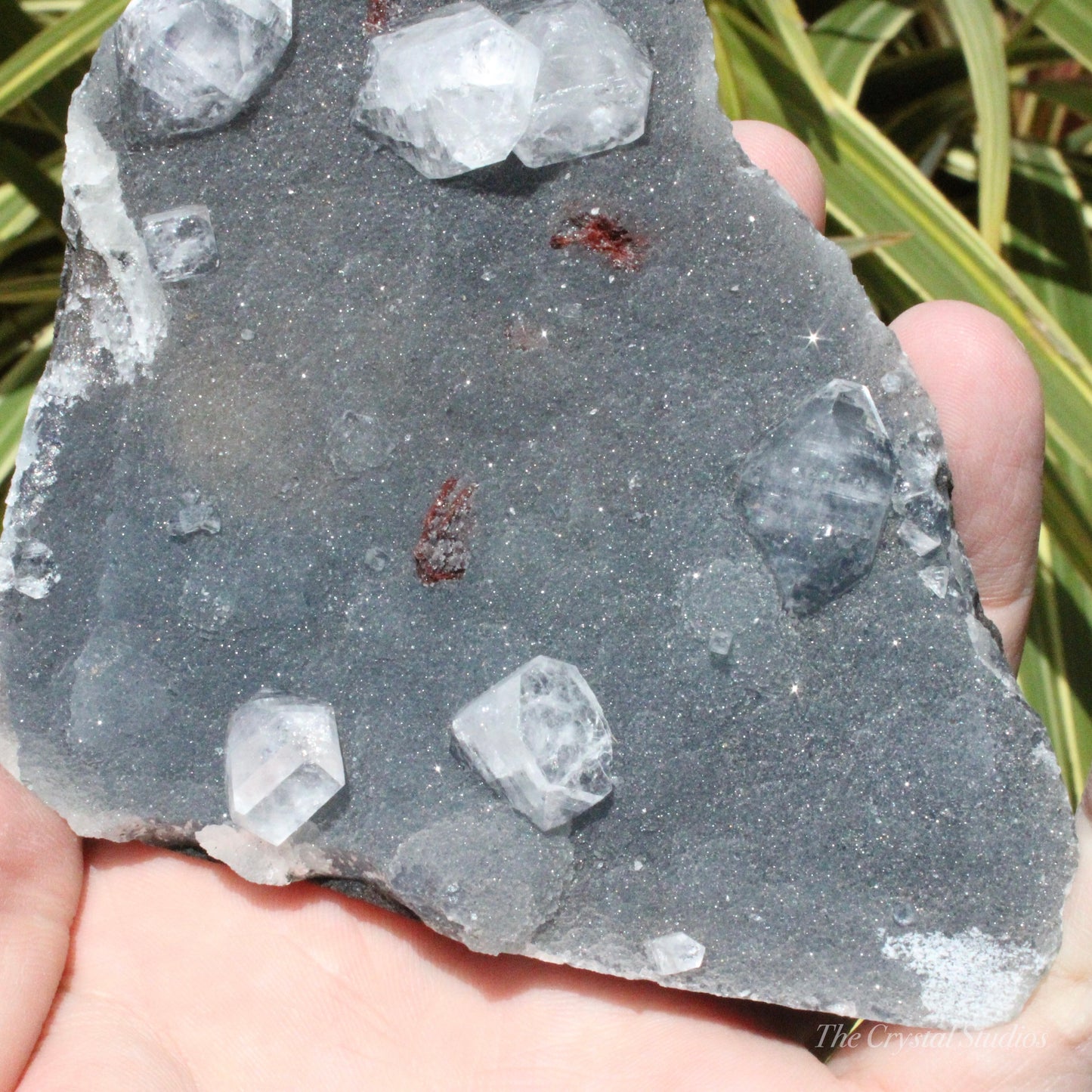 Blue Chalcedony with Apophyllite Natural Crystal Cluster