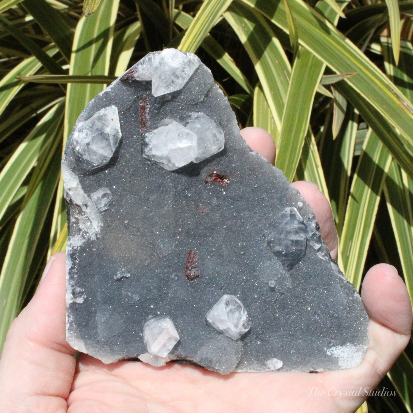 Blue Chalcedony with Apophyllite Natural Crystal Cluster