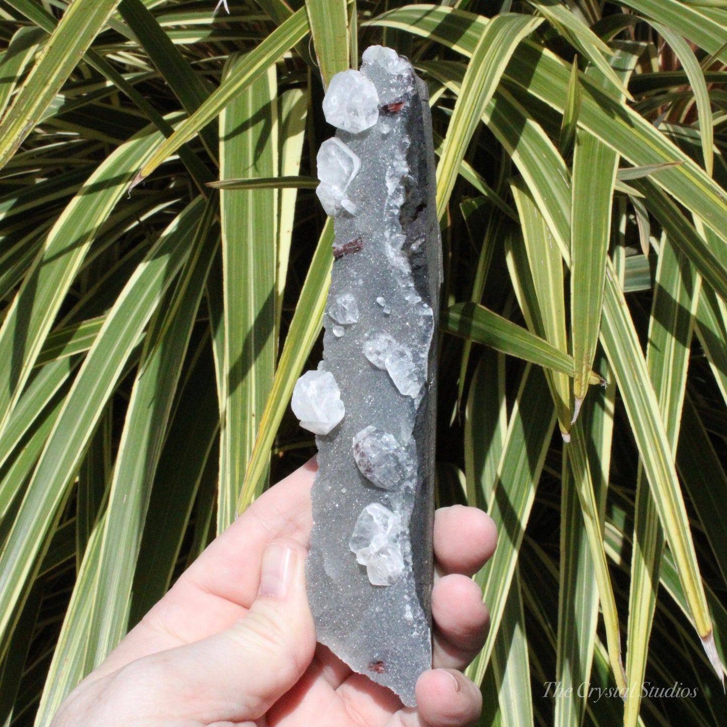 Blue Chalcedony with Apophyllite Natural Crystal Cluster