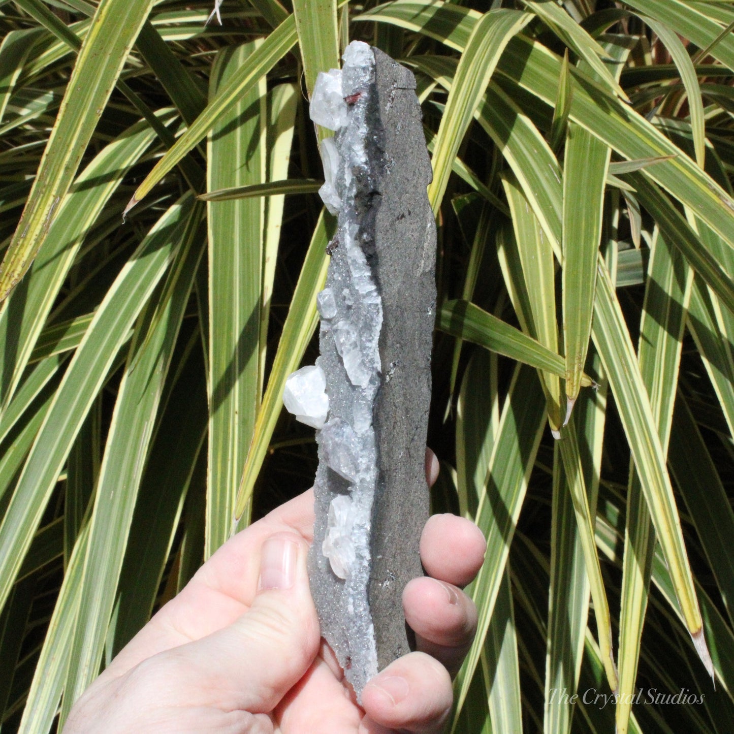 Blue Chalcedony with Apophyllite Natural Crystal Cluster