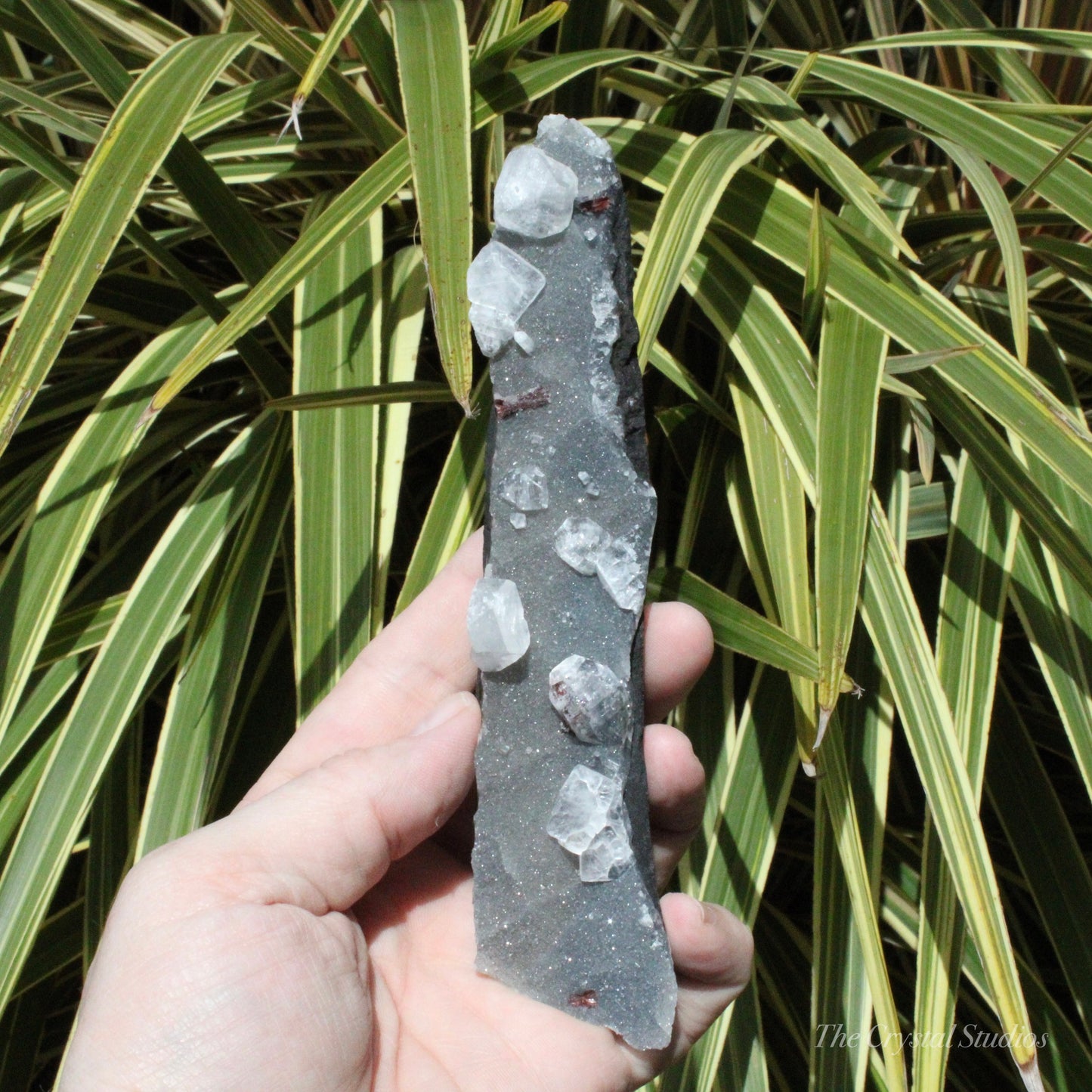 Blue Chalcedony with Apophyllite Natural Crystal Cluster