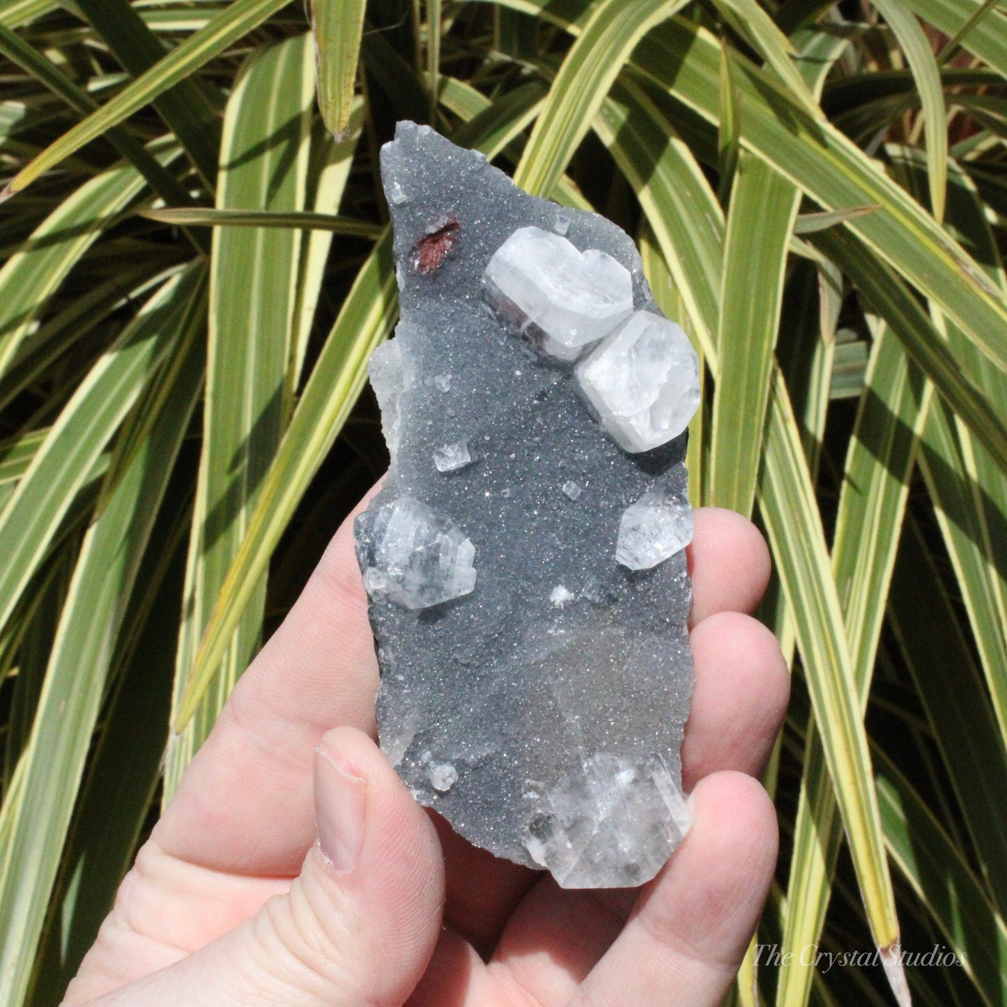 Blue Chalcedony with Apophyllite Natural Crystal Cluster