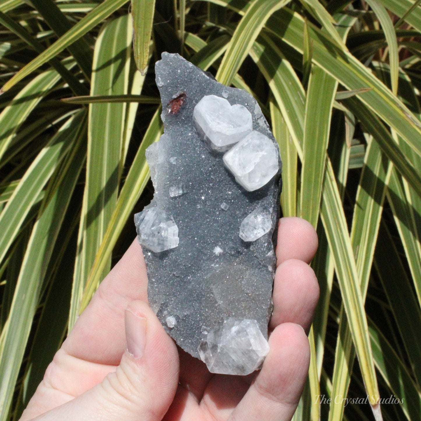 Blue Chalcedony with Apophyllite Natural Crystal Cluster