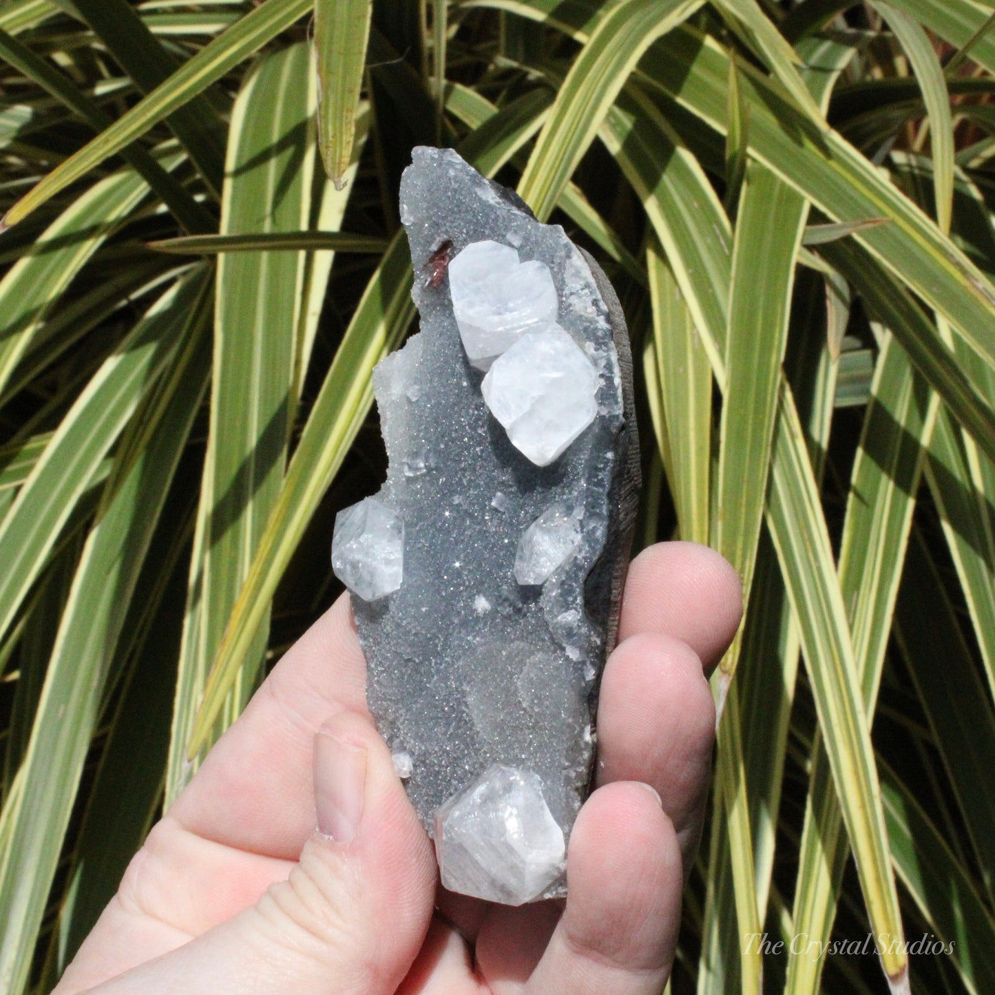 Blue Chalcedony with Apophyllite Natural Crystal Cluster