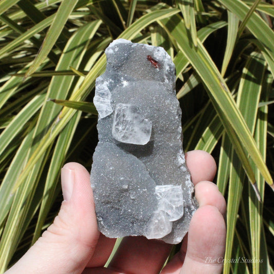 Blue Chalcedony with Apophyllite Natural Crystal Cluster