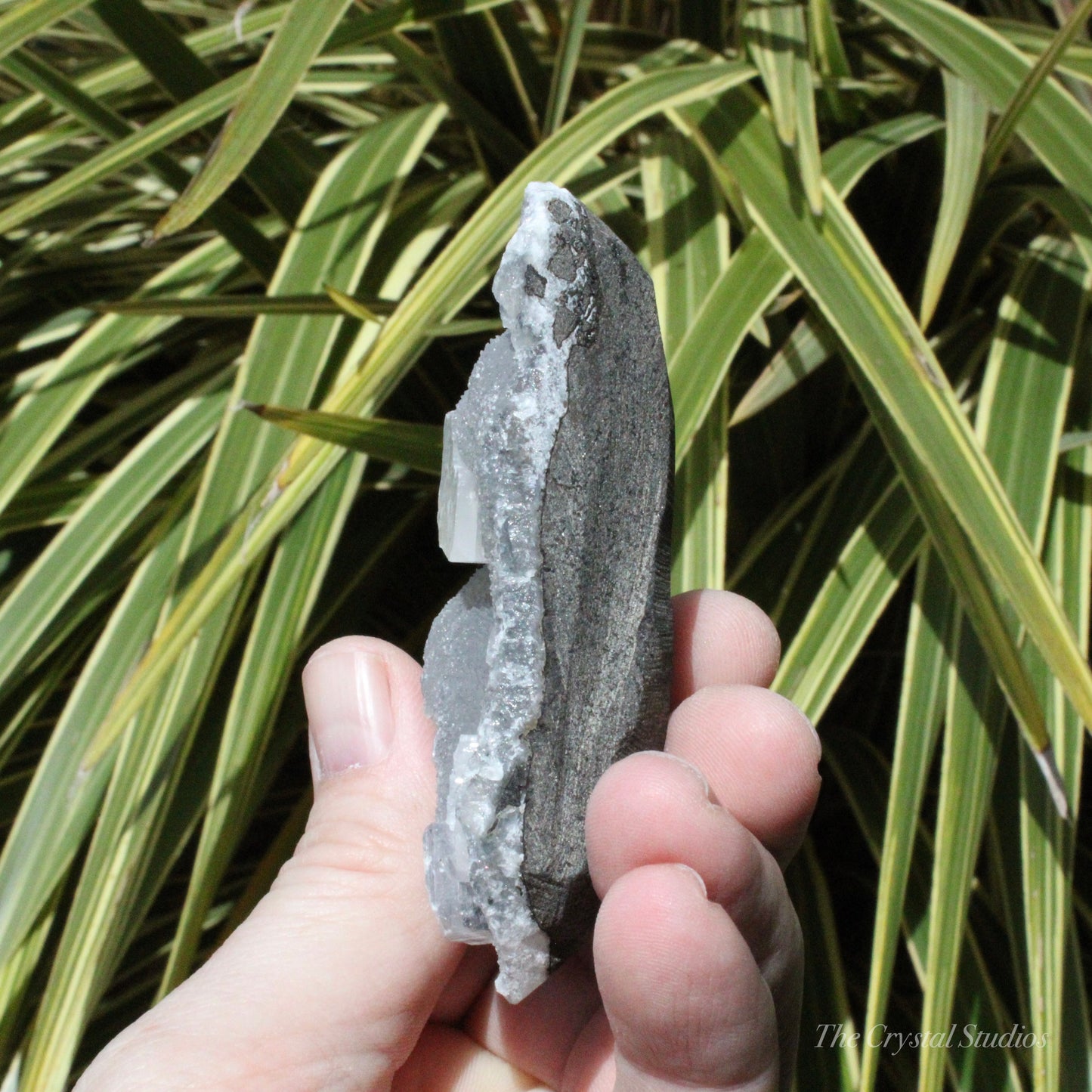 Blue Chalcedony with Apophyllite Natural Crystal Cluster