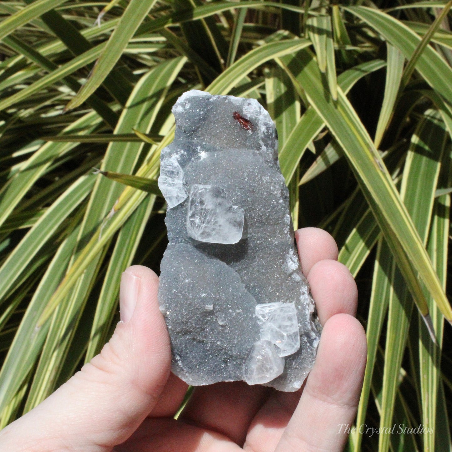 Blue Chalcedony with Apophyllite Natural Crystal Cluster