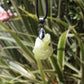 Yellow Brucite Natural Crystal Pendant