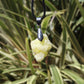 Yellow Brucite Natural Crystal Pendant