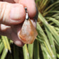 Rutilated Quartz Faceted Crystal Pendant