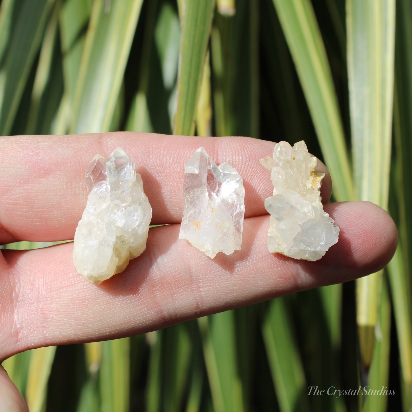 Clear Quartz Mini Natural Crystal Cluster Set