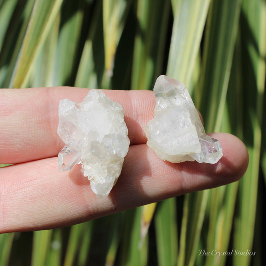 Clear Quartz Mini Natural Crystal Cluster Set