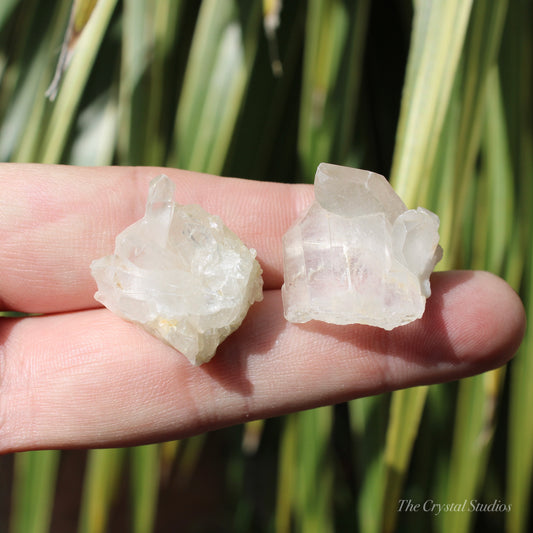 Clear Quartz Mini Natural Crystal Cluster Set