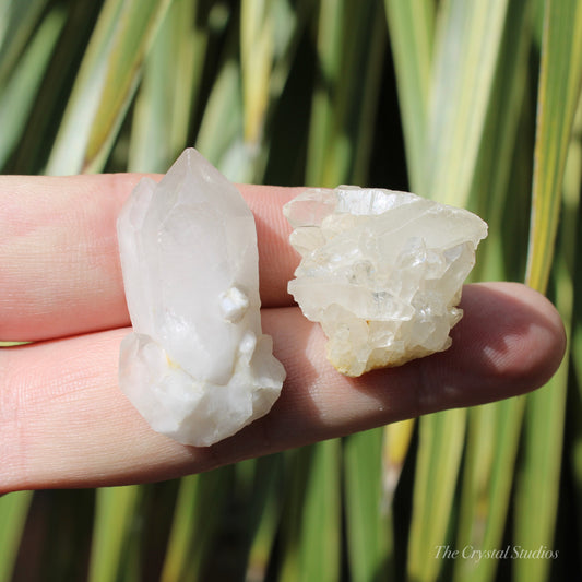 Clear Quartz Mini Natural Crystal Cluster Set