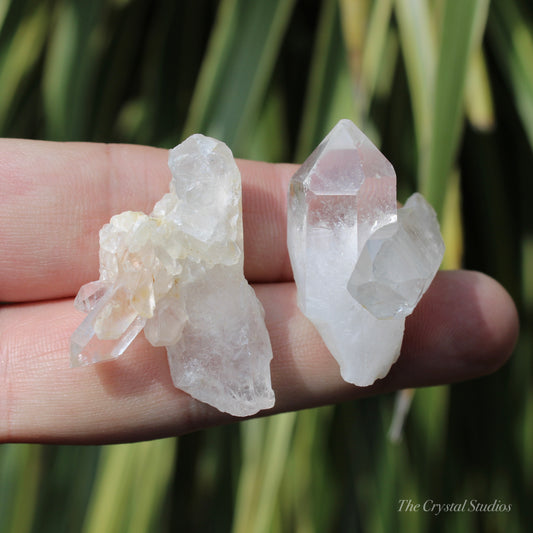 Clear Quartz Mini Natural Crystal Cluster Set