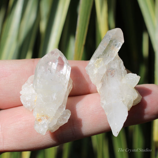 Clear Quartz Mini Natural Crystal Cluster Set