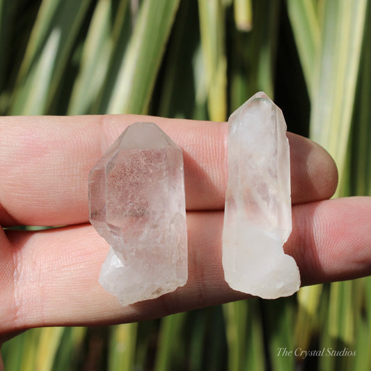 Clear Quartz Mini Natural Crystal Point Set