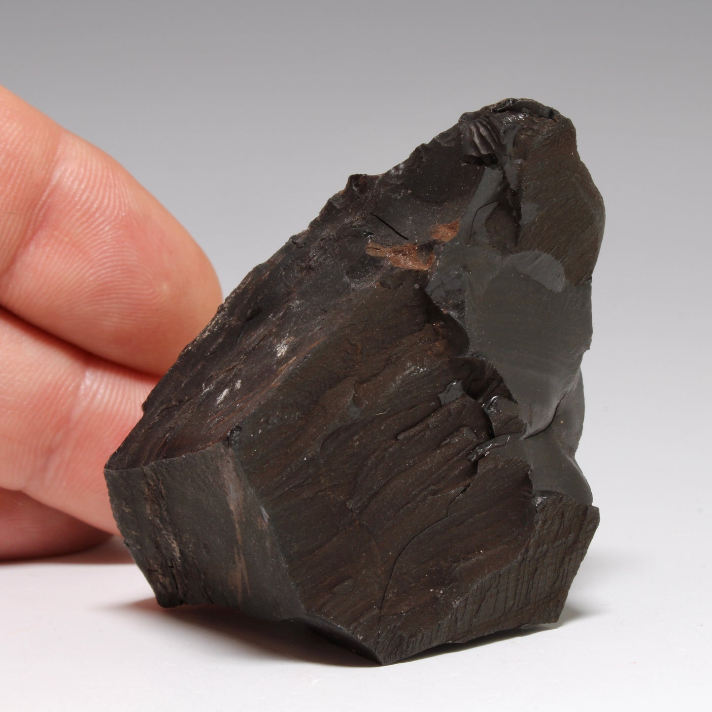 Whitby Jet Natural Crystal With Bark