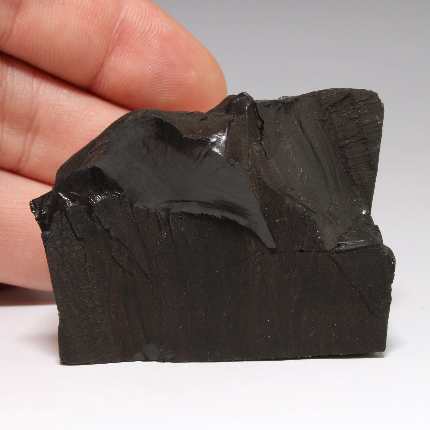 Whitby Jet Natural Crystal With Bark