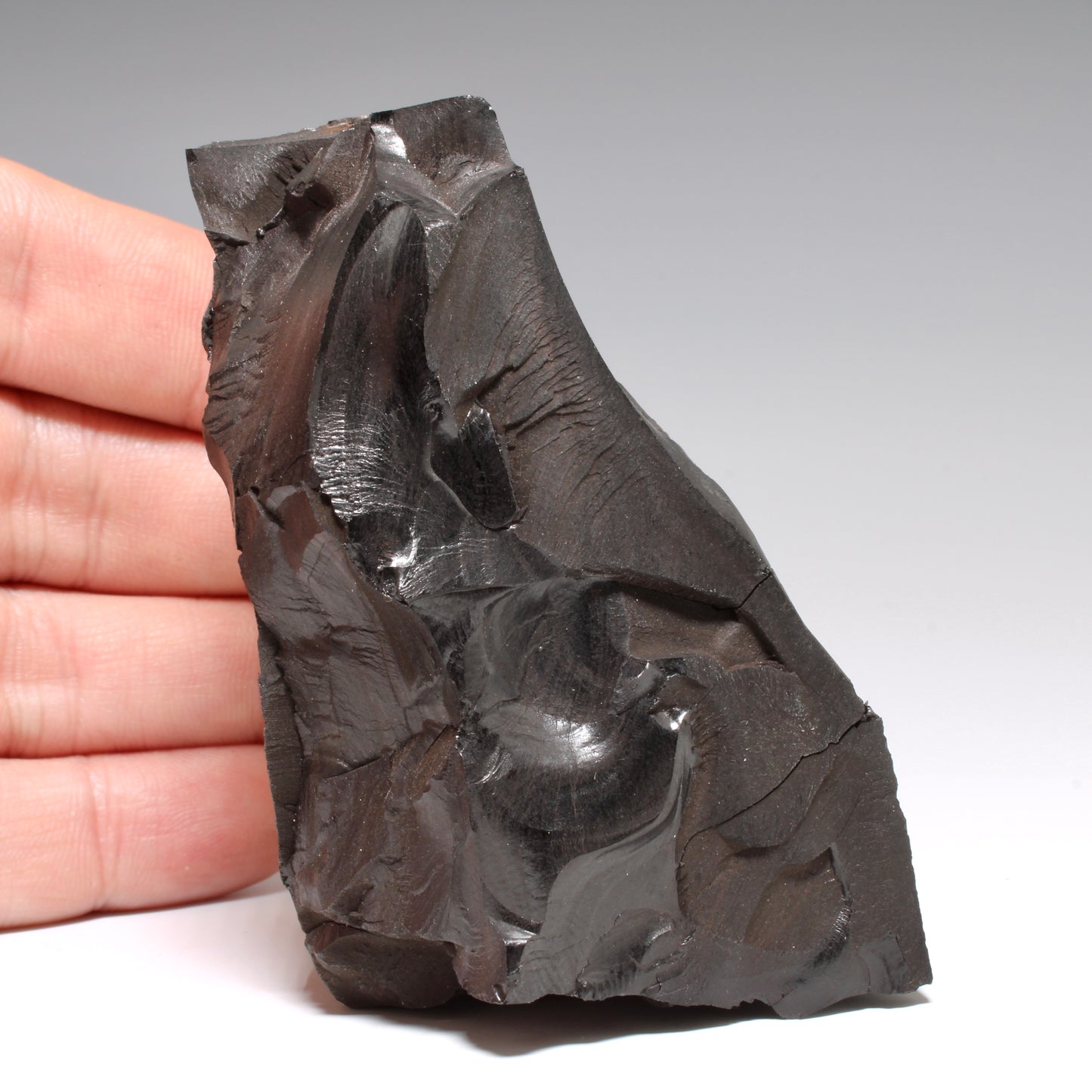 Whitby Jet Natural Crystal With Bark