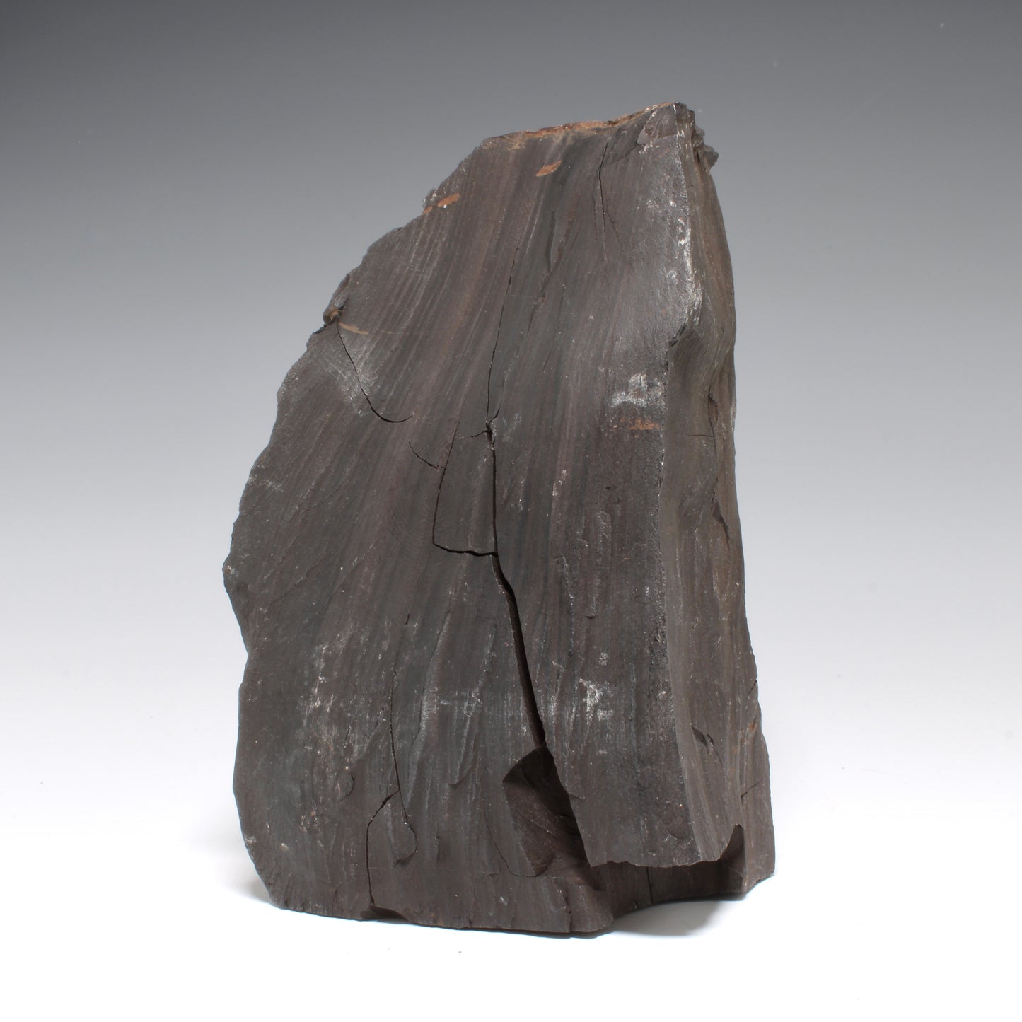 Whitby Jet Natural Crystal With Bark