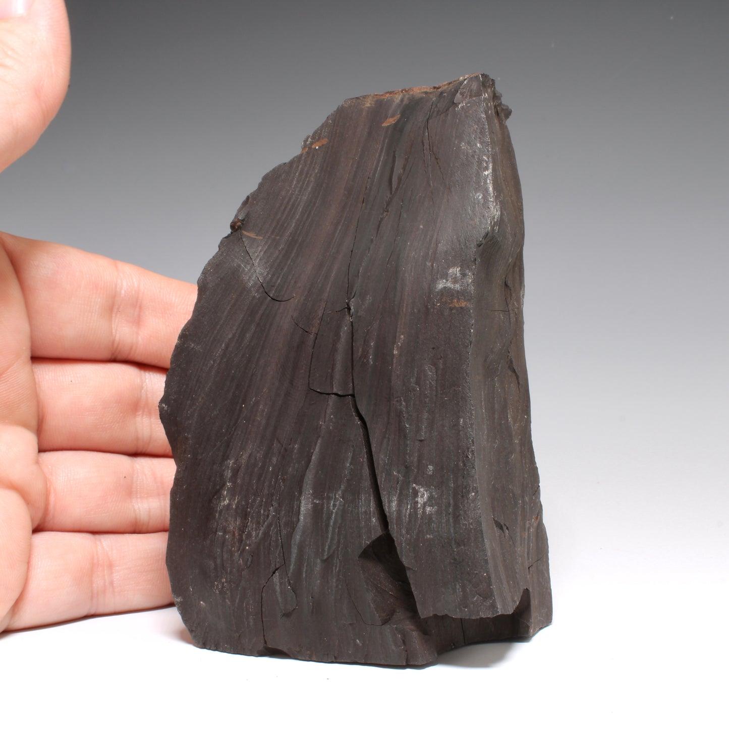 Whitby Jet Natural Crystal With Bark