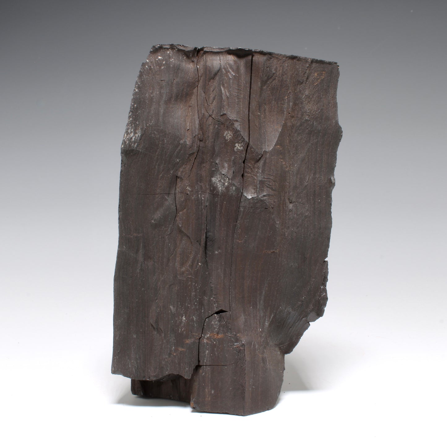 Whitby Jet Natural Crystal With Bark