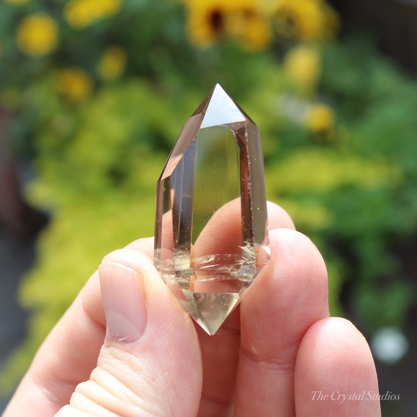 Natural Citrine Double Terminated Polished Point Crystal