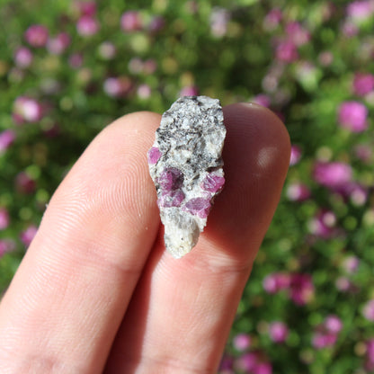 Ruby in Matrix Natural Crystals