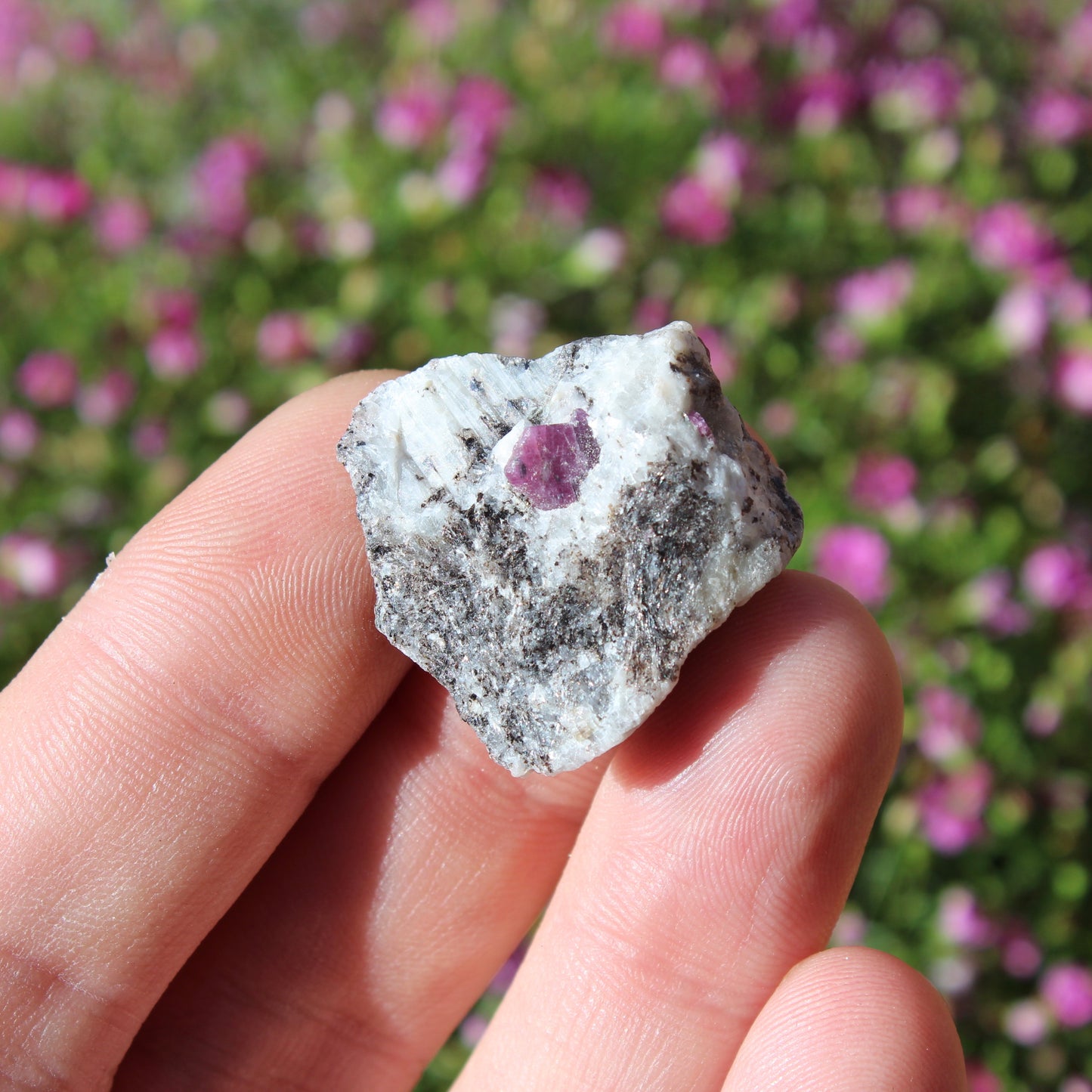 Ruby in Matrix Natural Crystals