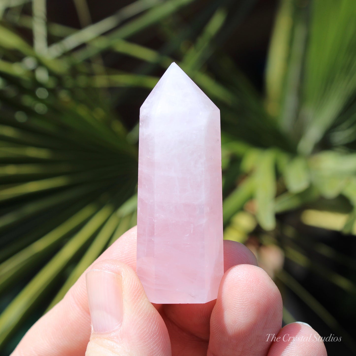 Rose Quartz Small Polished Point