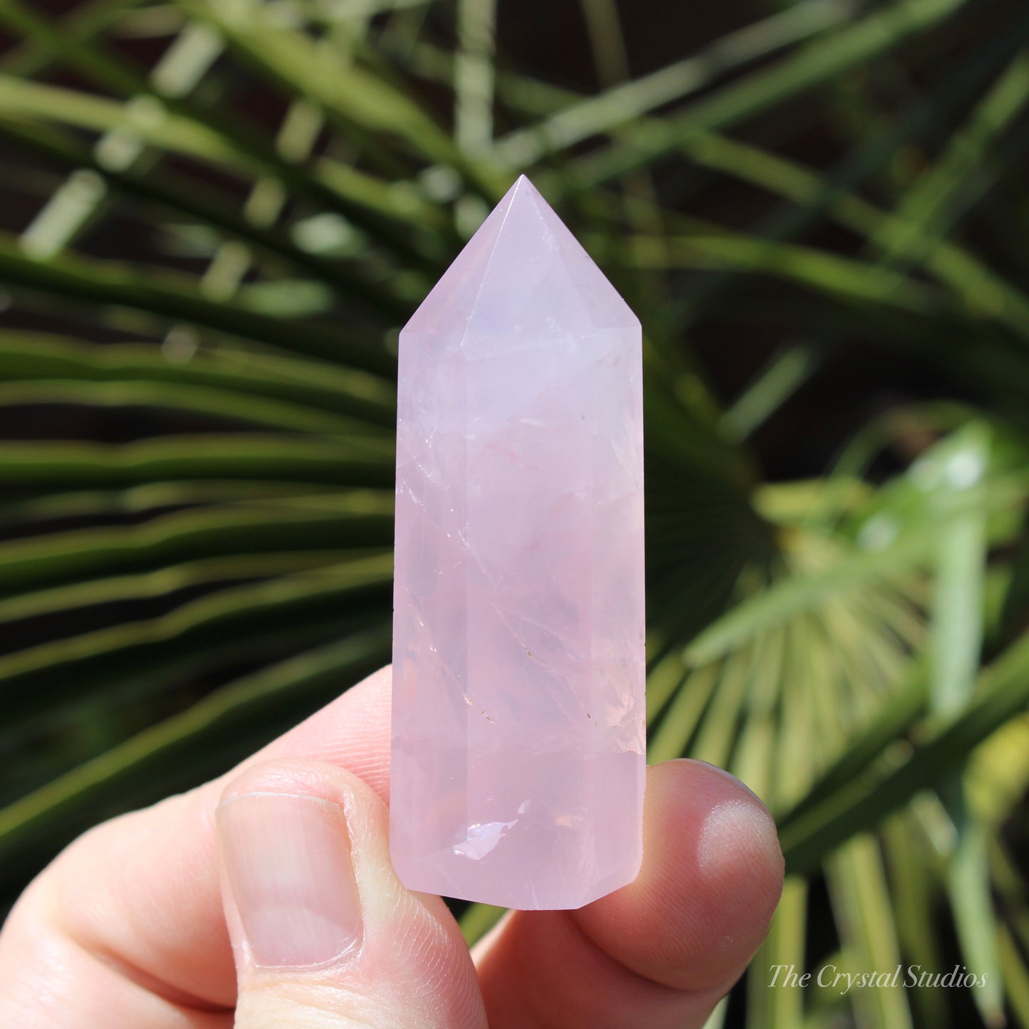 Rose Quartz Small Polished Point