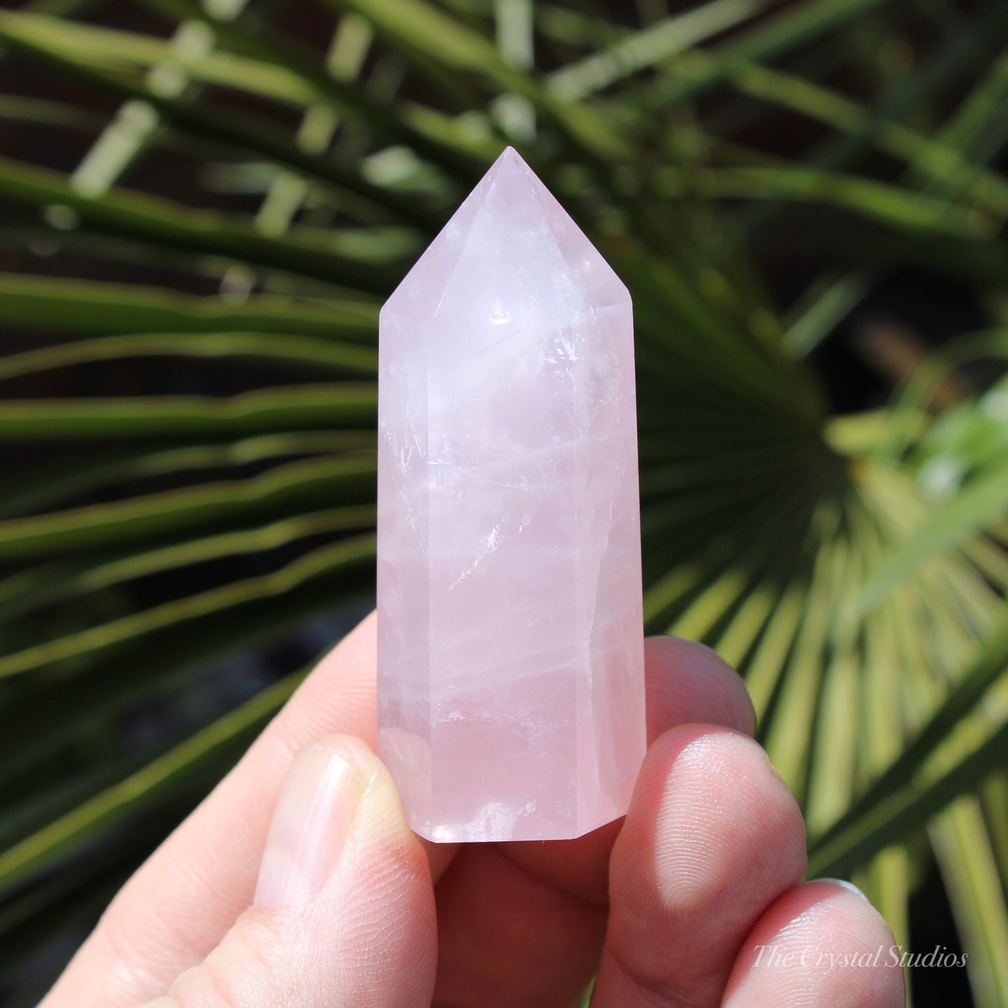 Rose Quartz Small Polished Point