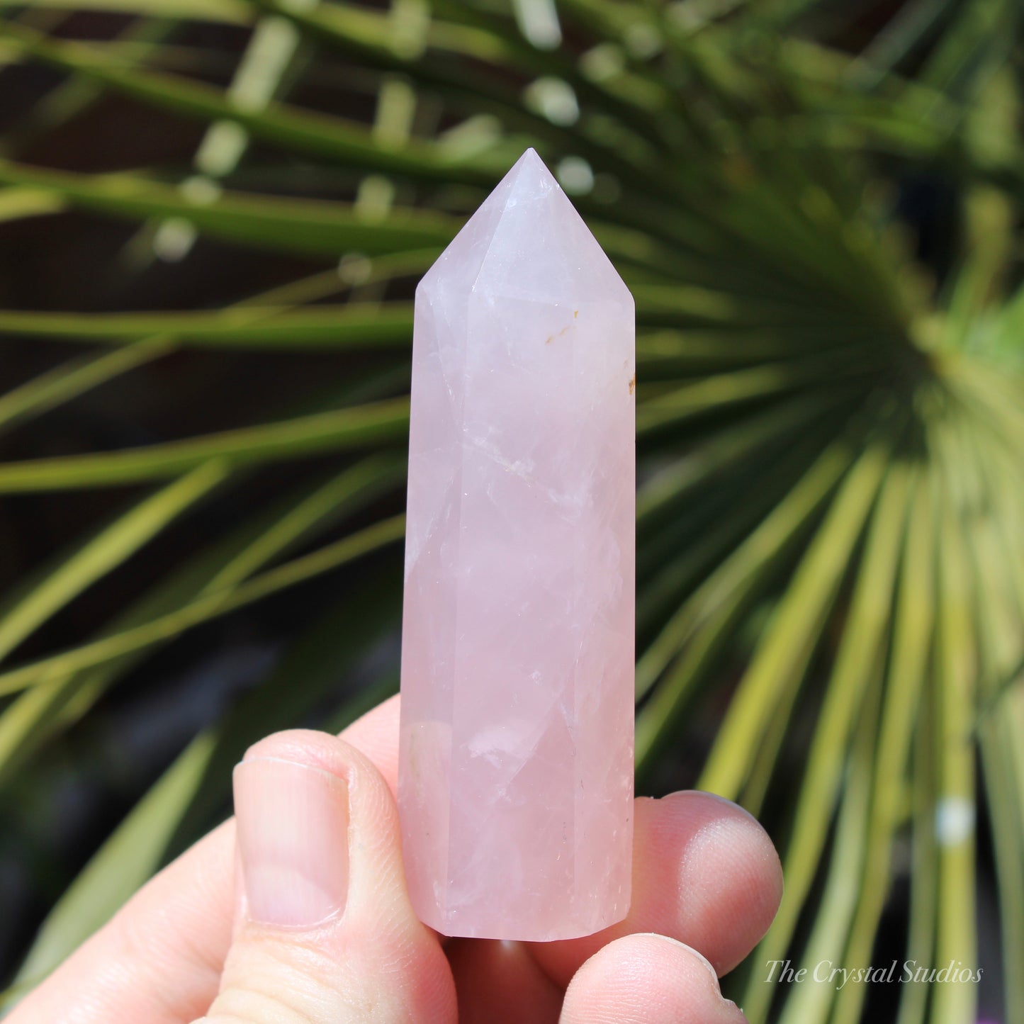 Rose Quartz Small Polished Point